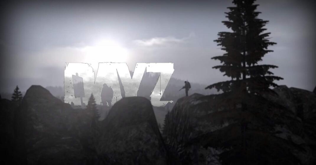 dayz加速器